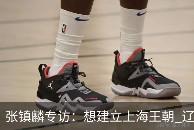 张镇麟专访：想建立上海王朝 辽沪球迷都一样都是拼了命想保护我